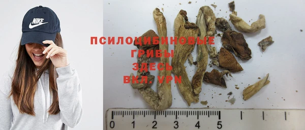 ECSTASY Белоозёрский