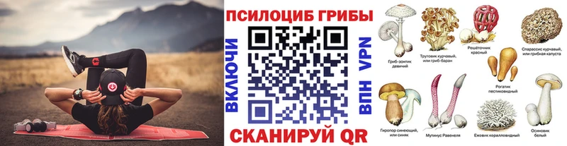 Галлюциногенные грибы Cubensis  Володарск 